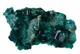 Gemmy Dioptase Crystal Cluster - Renéville Mine, Congo #168638-1